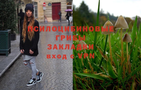 метадон Пересвет