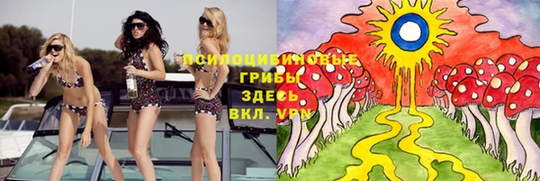 метадон Пересвет