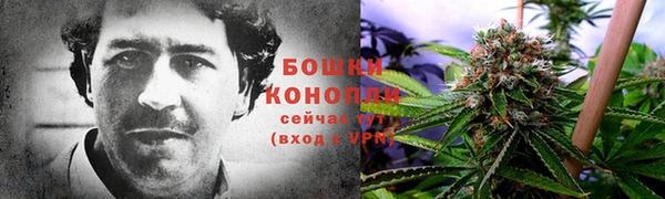 метадон Пересвет