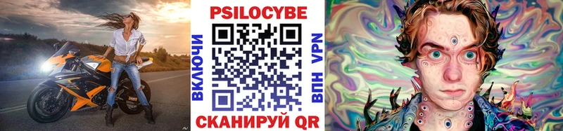 Купить  Фрязино  Псилоцибиновые грибы мицелий 