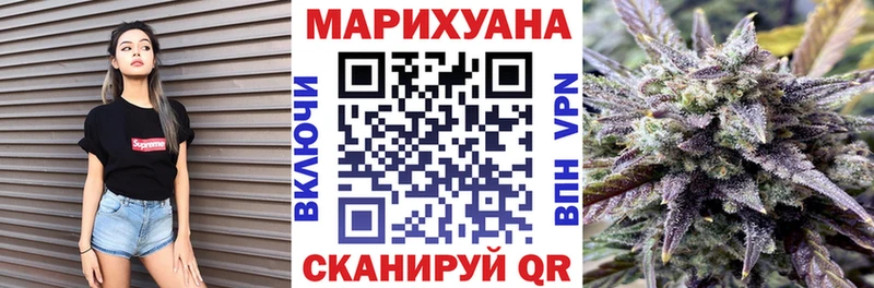 Купить где  Фрязино  Каннабис ГИДРОПОН 